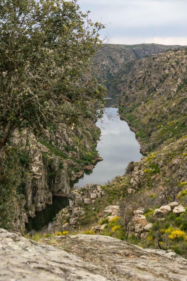 Casa De Belharino Βίλα Miranda do Douro Εξωτερικό φωτογραφία