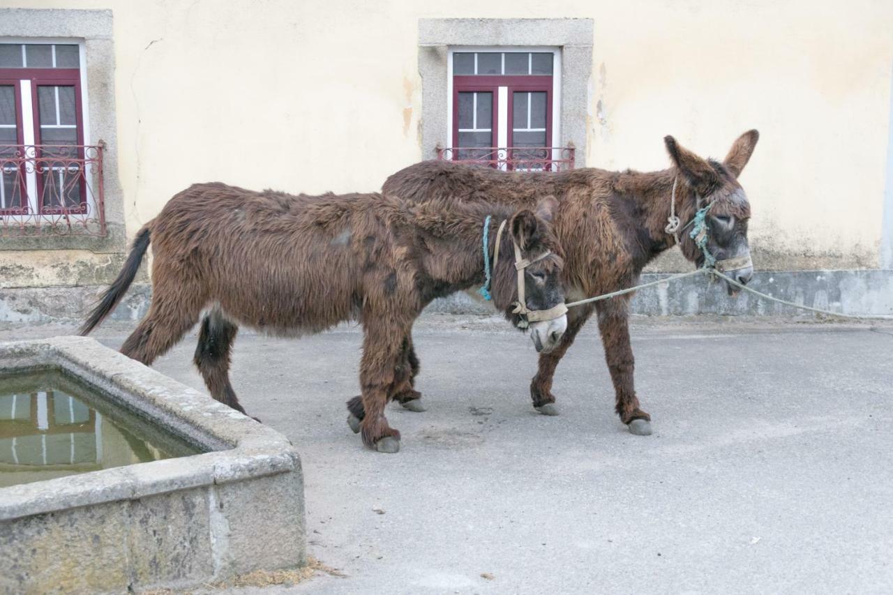 Casa De Belharino Βίλα Miranda do Douro Εξωτερικό φωτογραφία